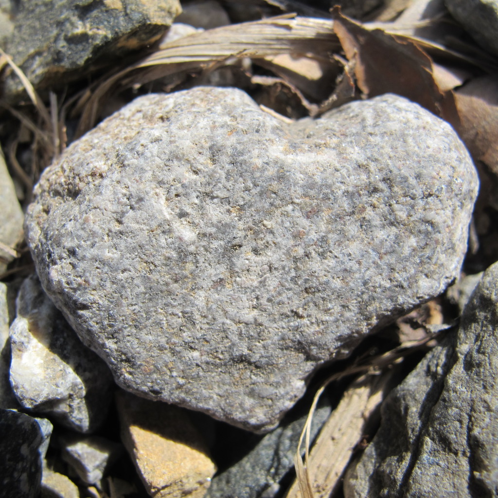 hart van steen